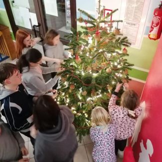 Zdjęcie główne aktualności MAMY CHOINKĘ