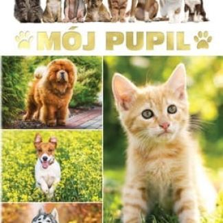 Zdjęcie główne aktualności Konkurs plastyczny "MÓJ PUPIL"