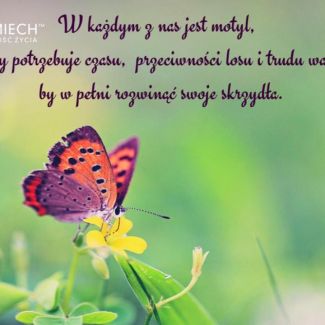 Zdjęcie główne aktualności Jak radzić sobie z przeciwnościami losu?