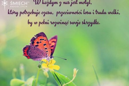 Zdjęcie - Jak radzić sobie z przeciwnościami losu?